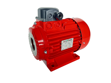 Двигатель 4 кВт Nicolini(Luxwash) RED T41004/0L1RA2M0RED фото