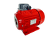 Електричний двигун 4 кВт Nicolini(Luxwash) RED T41004/0L1RA2M0RED фото 1
