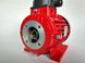 Електричний двигун 4 кВт Nicolini(Luxwash) RED T41004/0L1RA2M0RED фото 4