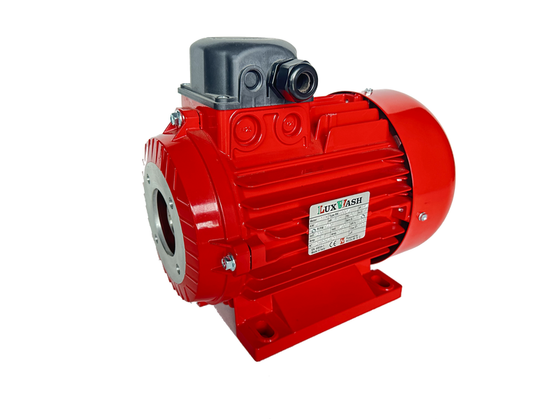 Електричний двигун 4 кВт Nicolini(Luxwash) RED T41004/0L1RA2M0RED фото