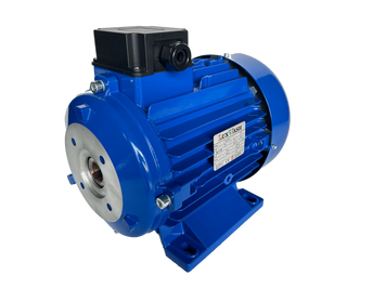 Электрический двигатель 5.5 кВт Nicolini(Luxwash) BLUE T41125/5L1BA2M0BLUE фото