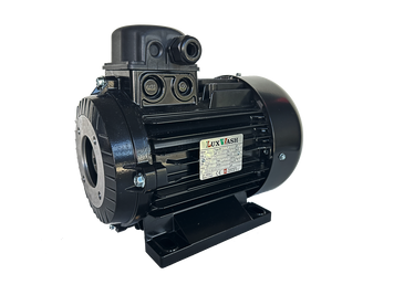 Електрический двигатель 4 кВт Nicolini(Luxwash) T41004/0IN1A2M0BLACK фото