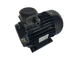 Електричний двигун 4 кВт Nicolini(Luxwash) T41004/0IN1A2M0BLACK фото 3