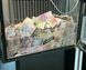 Acr_ST фото 2