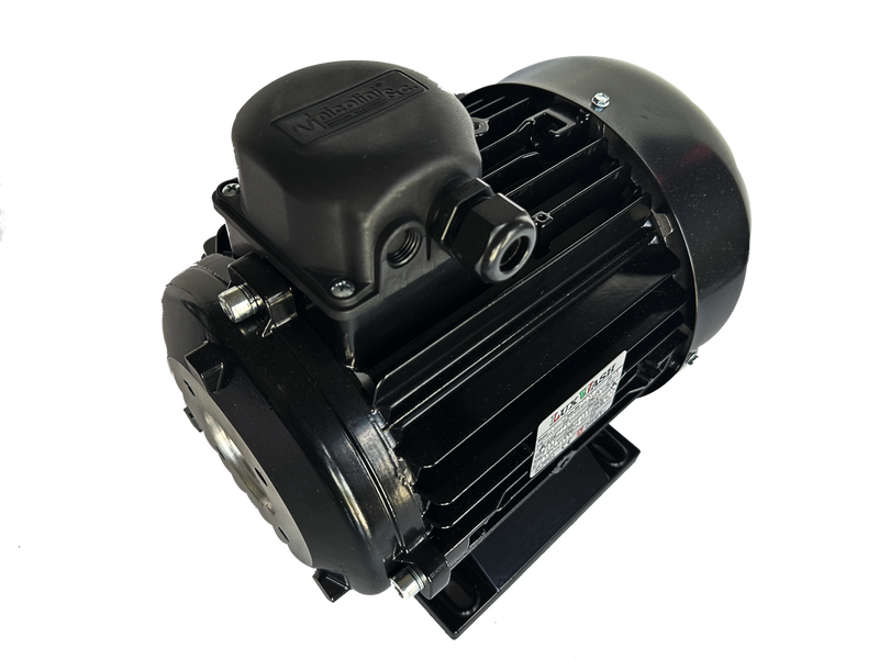 Електричний двигун 5.5 кВт Nicolini(Luxwash) T41125/5IN1A2M0 фото