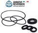 Seal repair kit AR1855 for Annovi Reverberi 15.20 N pump